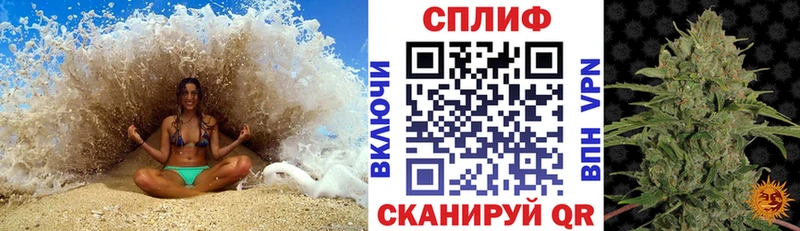 Купить Мариинск Канабис SATIVA & INDICA